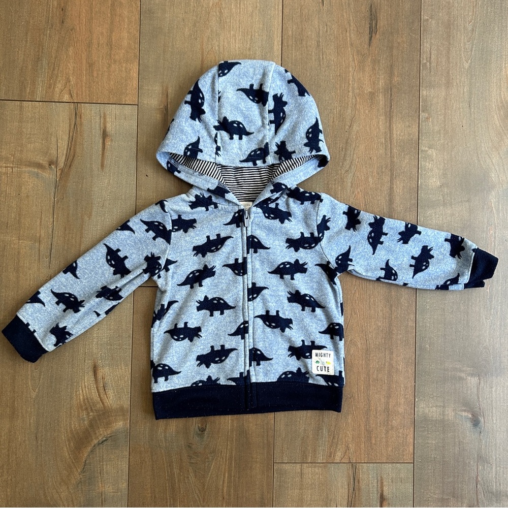 12M Carter's Fleece Dinosaur Hoodie